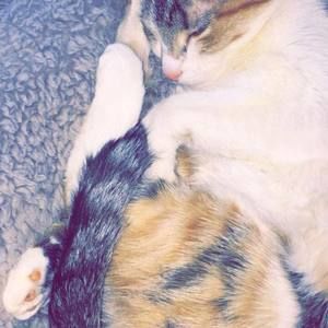 Meet your Posher, Eleanor